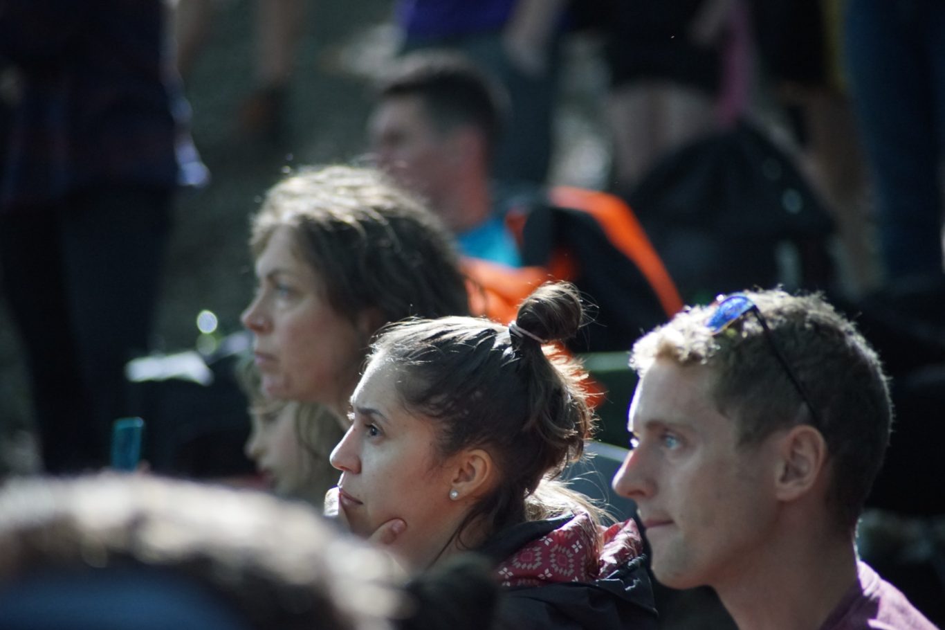 Spectators at Sheffield Tree Fayre