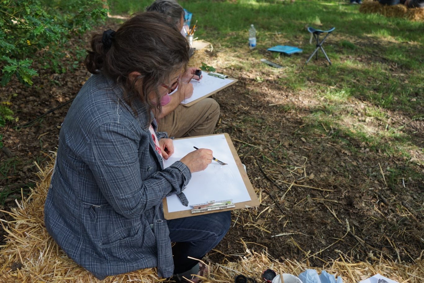 Sheffield Tree Fayre 2019