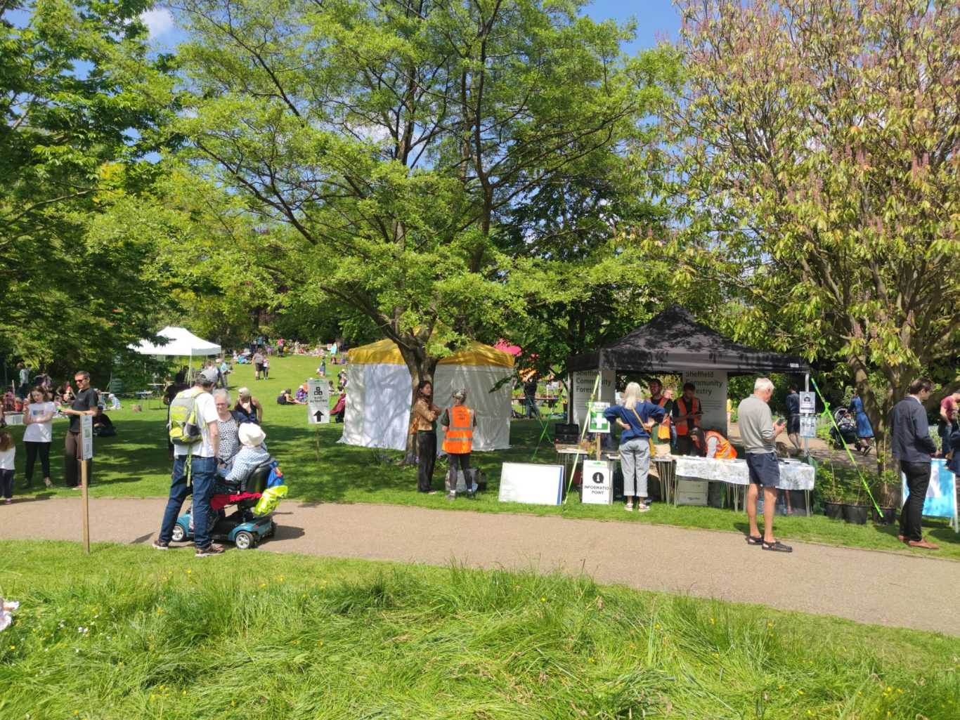 Sheffield Tree Fayre 2023